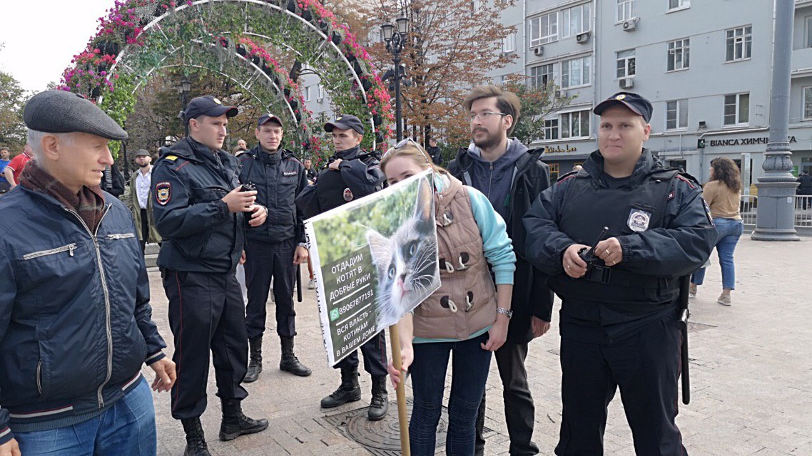 Суд оштрафовал москвичку на 15 тысяч рублей за плакат о пристройстве котят