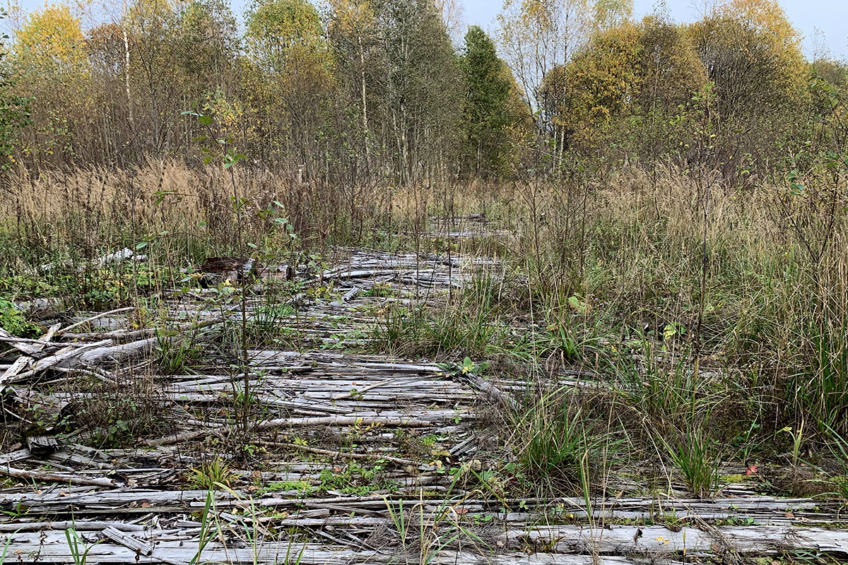 Территория в Нелидово, которая отведена под мусорный полигон.